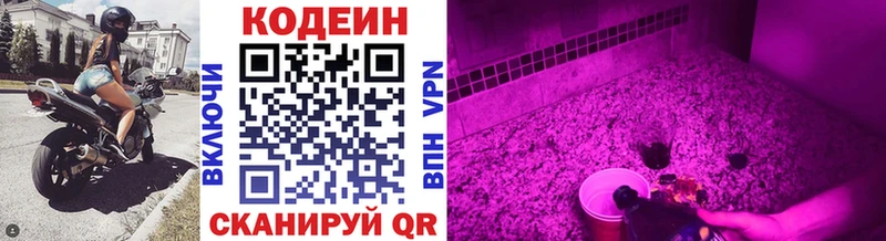 mega ссылки  наркота  Приозерск  Codein Purple Drank 