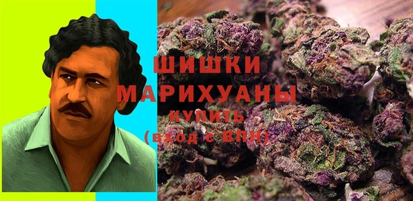 PSILOCYBIN Нефтегорск