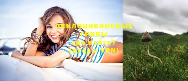 PSILOCYBIN Нефтегорск
