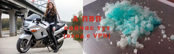 PSILOCYBIN Нефтегорск