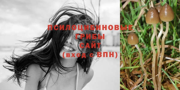 герыч Дмитров