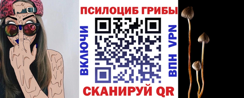 Галлюциногенные грибы мицелий  Приозерск 